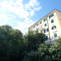 Dettaglio